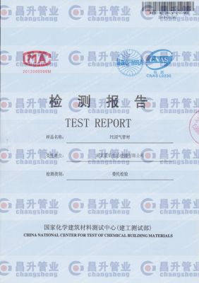 Test report